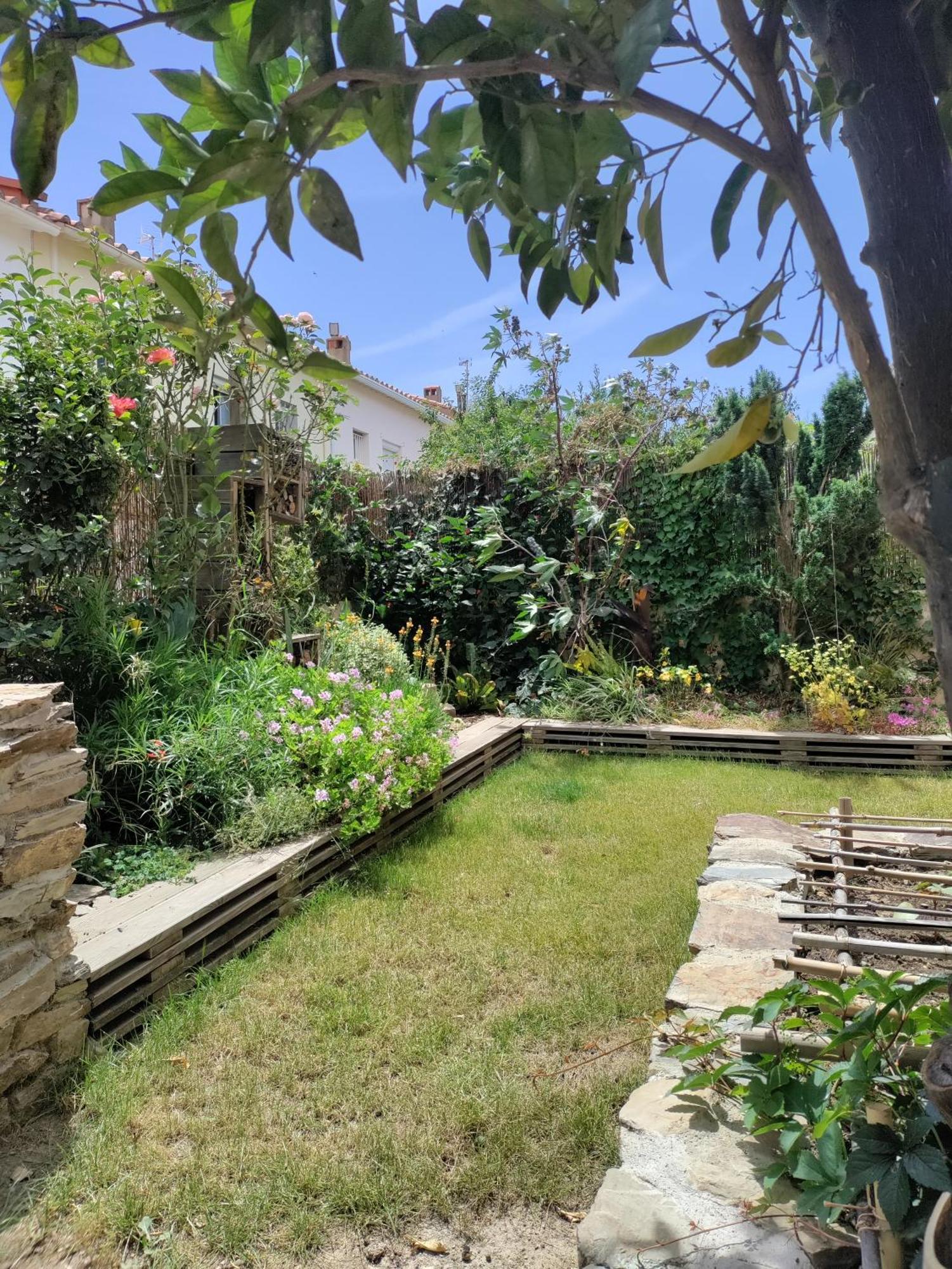 Ferienwohnung Les Papillons Perpignan Exterior foto