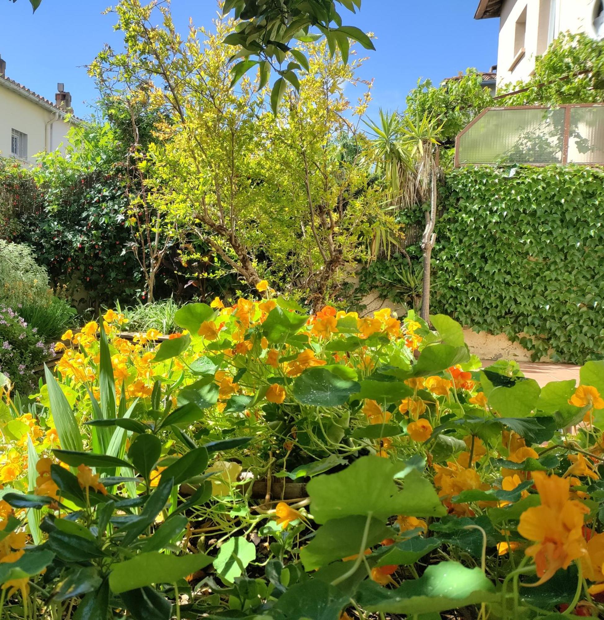 Ferienwohnung Les Papillons Perpignan Exterior foto